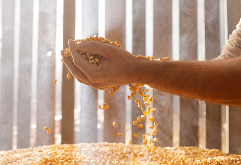 Image illustrant les origines du groupement